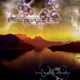 VA – Protozoa cover